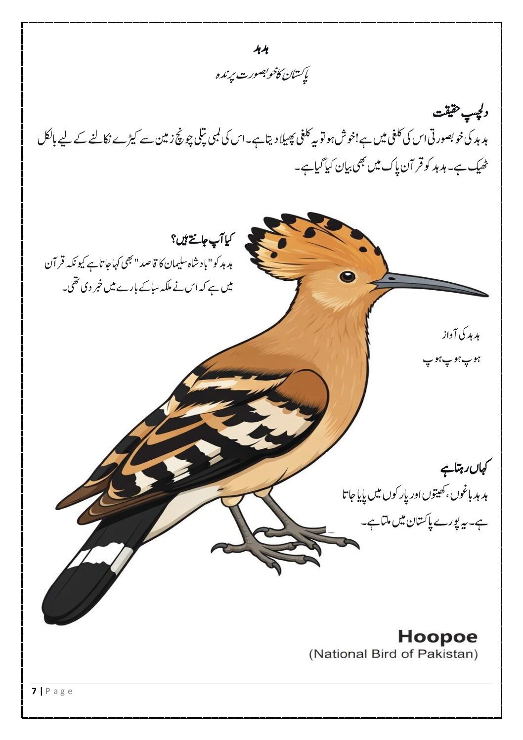 پاکستان کے رنگین پرندے - بچوں کے لیے رنگ بھرنے اور معلوماتی کتاب (Pakistan Ke Rangeen Parinday - A Bilingual Urdu English Coloring Book for Kids) - Image 3